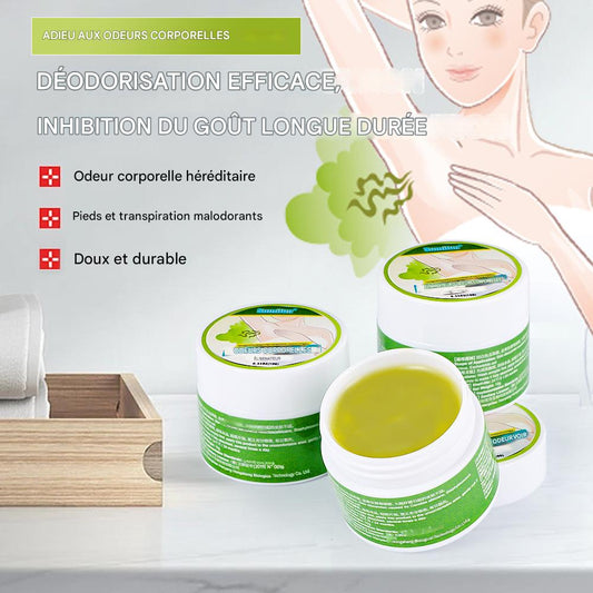Déodorant Naturel Solide à Base de Plantes - Fraîcheur 24 h