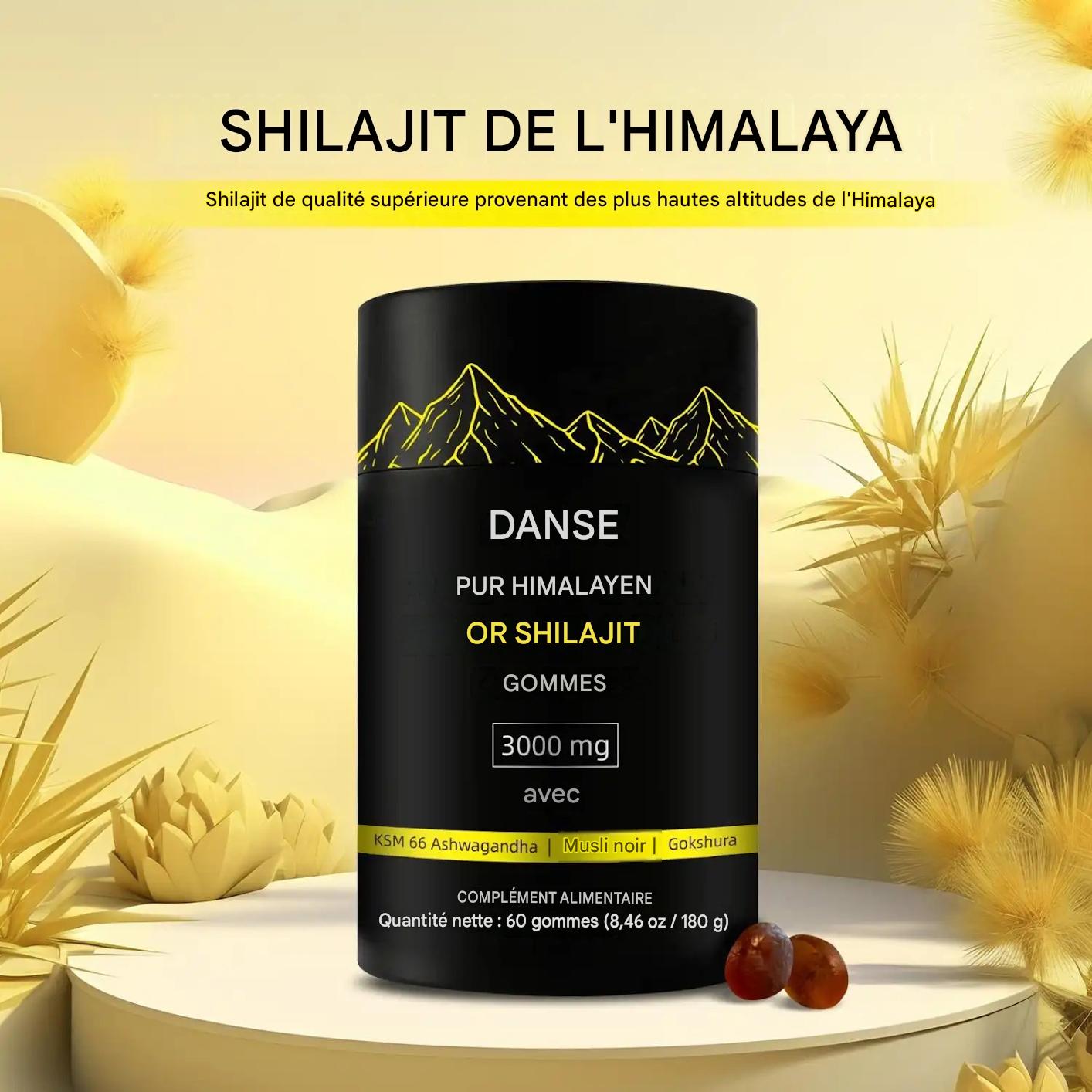 Gommes de shilajit pur de l'Himalaya avec ashwagandha, gokshura et autres herbes, sans sucre ajouté, 60 comprimés à croquer, complément alimentaire