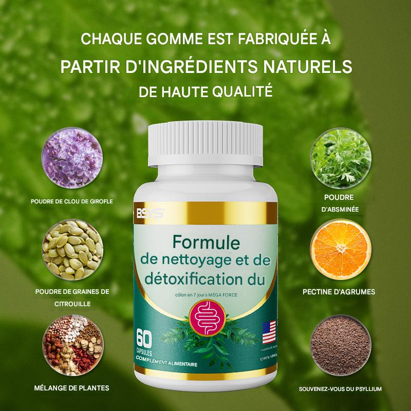 Cure Nettoyage Côlon 7 Jours - Détox Naturelle Psyllium (60 caps)