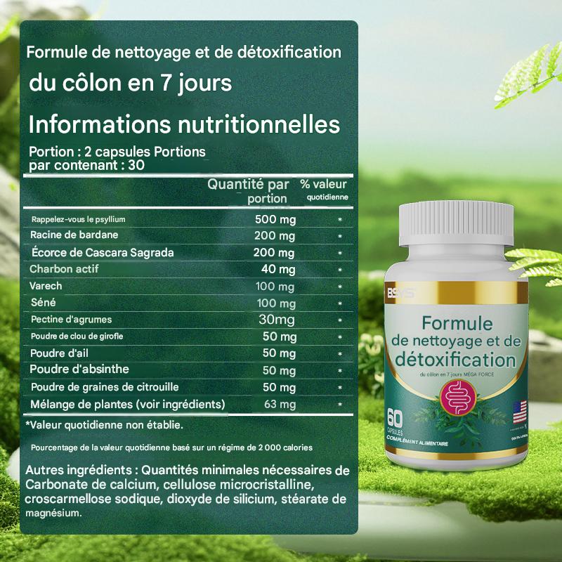 Cure Nettoyage Côlon 7 Jours - Détox Naturelle Psyllium (60 caps)