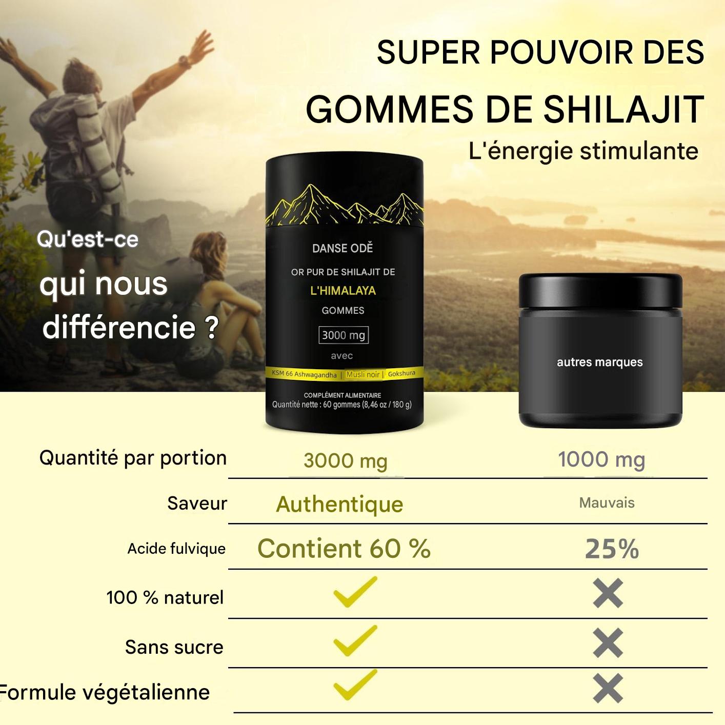 Gommes de shilajit pur de l'Himalaya avec ashwagandha, gokshura et autres herbes, sans sucre ajouté, 60 comprimés à croquer, complément alimentaire