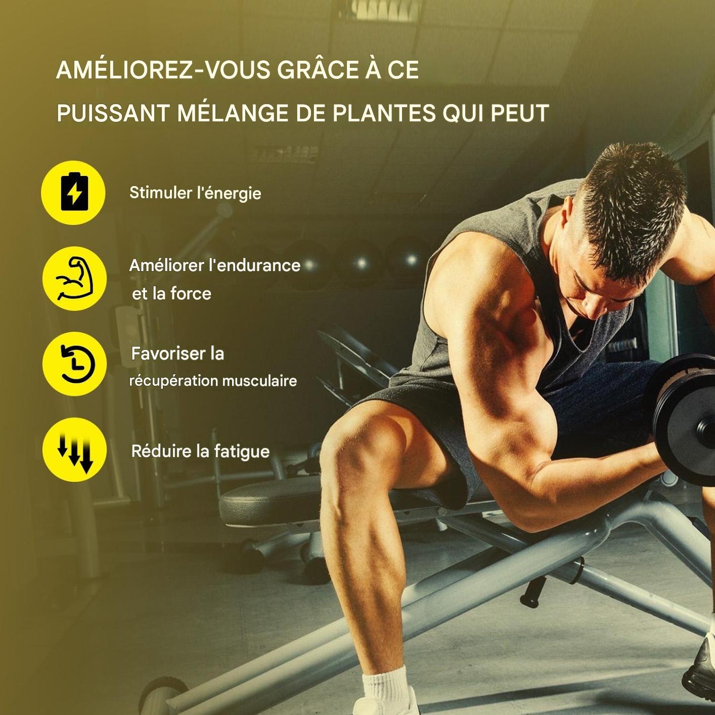 Gommes de shilajit pur de l'Himalaya avec ashwagandha, gokshura et autres herbes, sans sucre ajouté, 60 comprimés à croquer, complément alimentaire